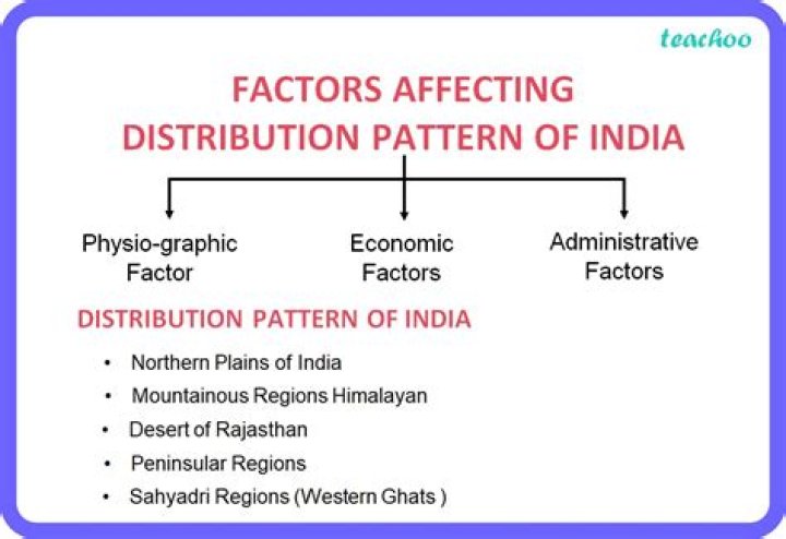 What are the factors you have considered in the distribution of your product?
