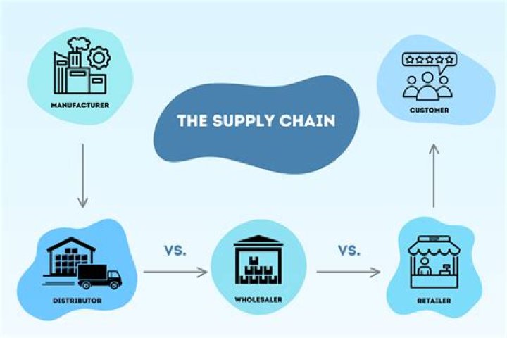What are the functions of the wholesaler in the distribution of goods?