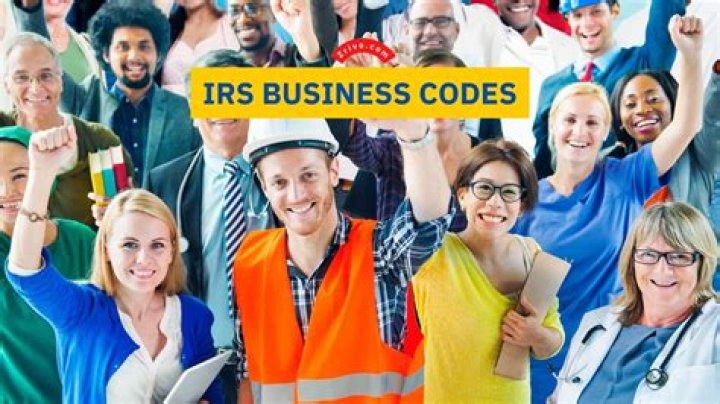 What are the IRS principal business codes?