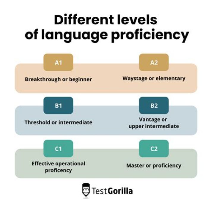 What are the levels of proficiency in Excel?