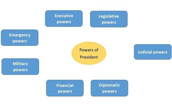 What are the limits on the powers of the president?