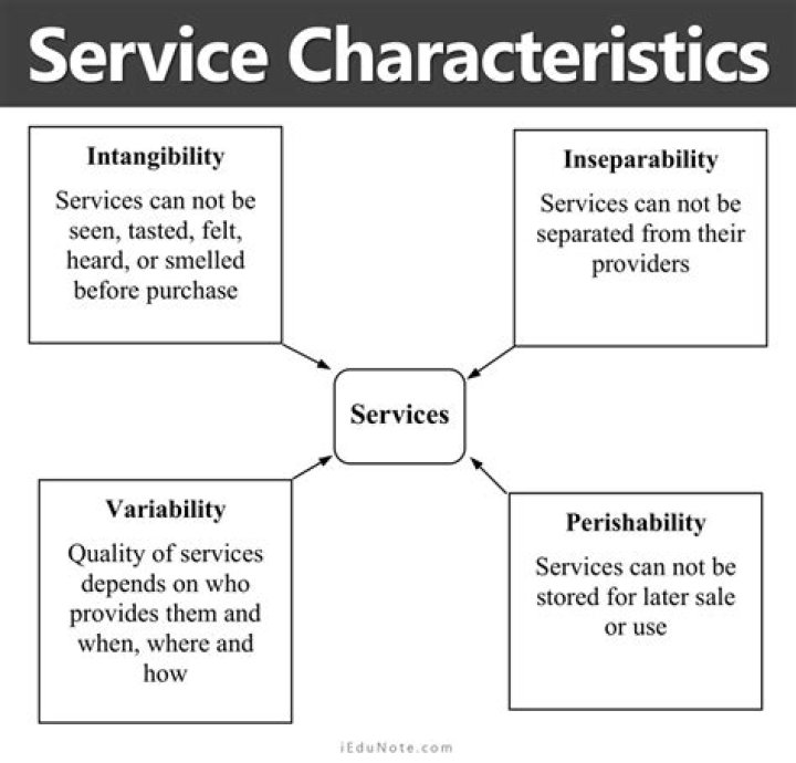 What are the main characteristics of the intangibility of services?