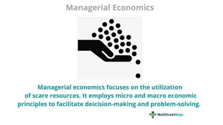 What are the problems of managerial economics?