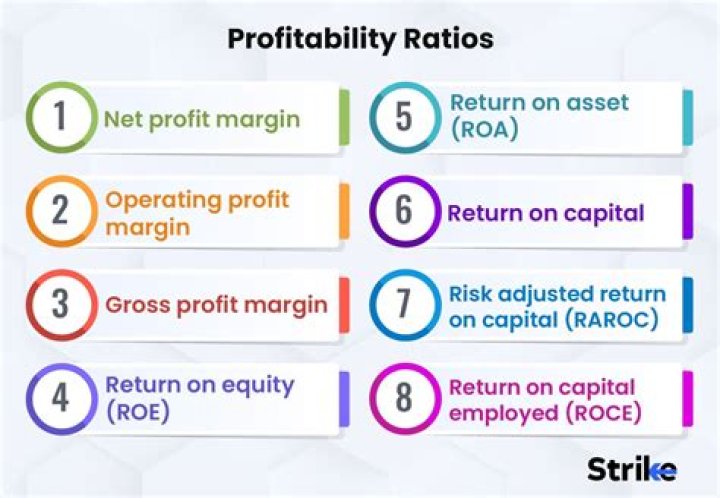 What are the profitability ratios in accounting?