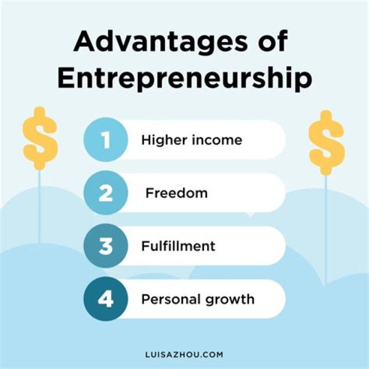 What are the risk and disadvantages of becoming an entrepreneur?