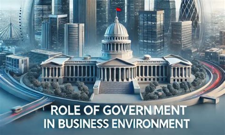 What are the roles of government in business?