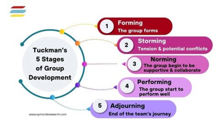 What are the stages of organization?
