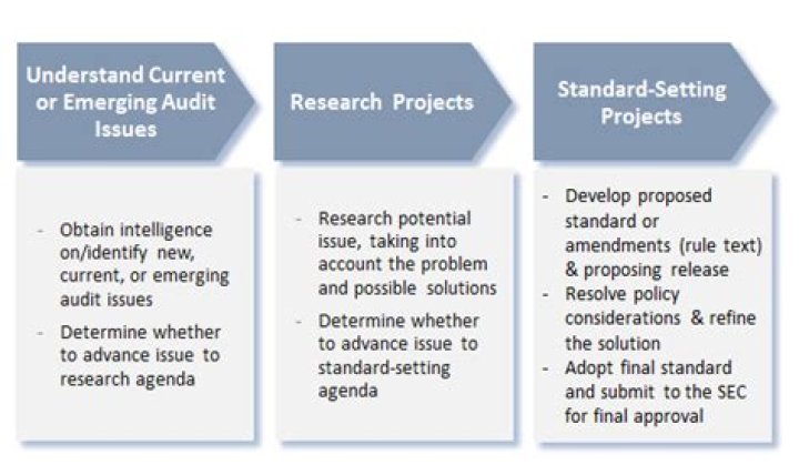 What are the standard setting process?