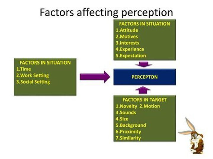 What are the three main factors affecting perception?