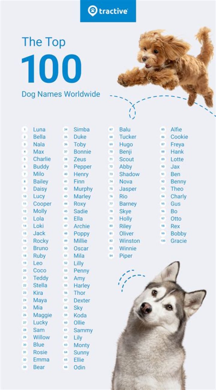 What are the top 10 dog names?