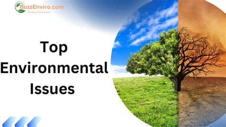 What are the top 3 environmental problems?