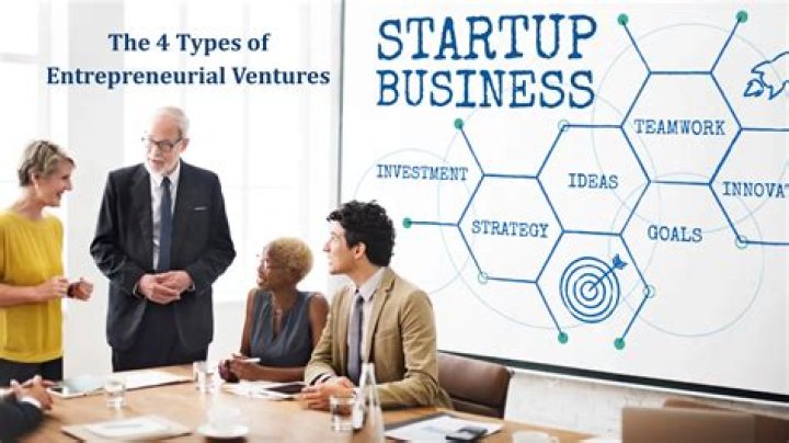 What are the types of entrepreneurial?