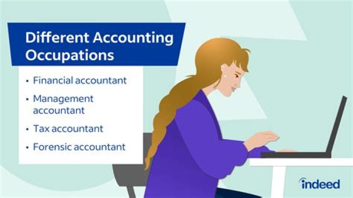 What can CPAs do that accountants cant?