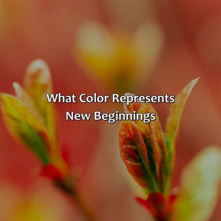 What color represents time travel?