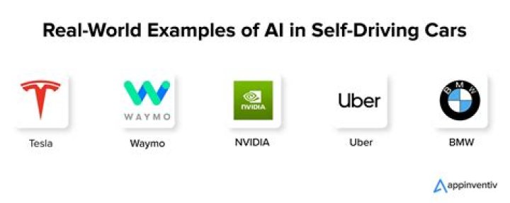 What company makes the AI for self-driving cars?