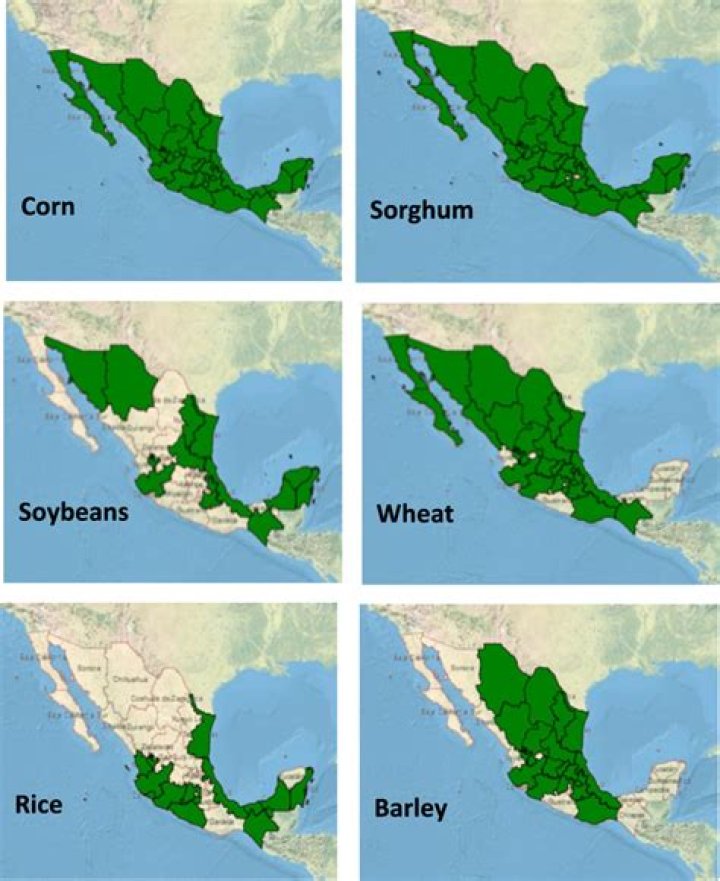 What crops grow in Central America?