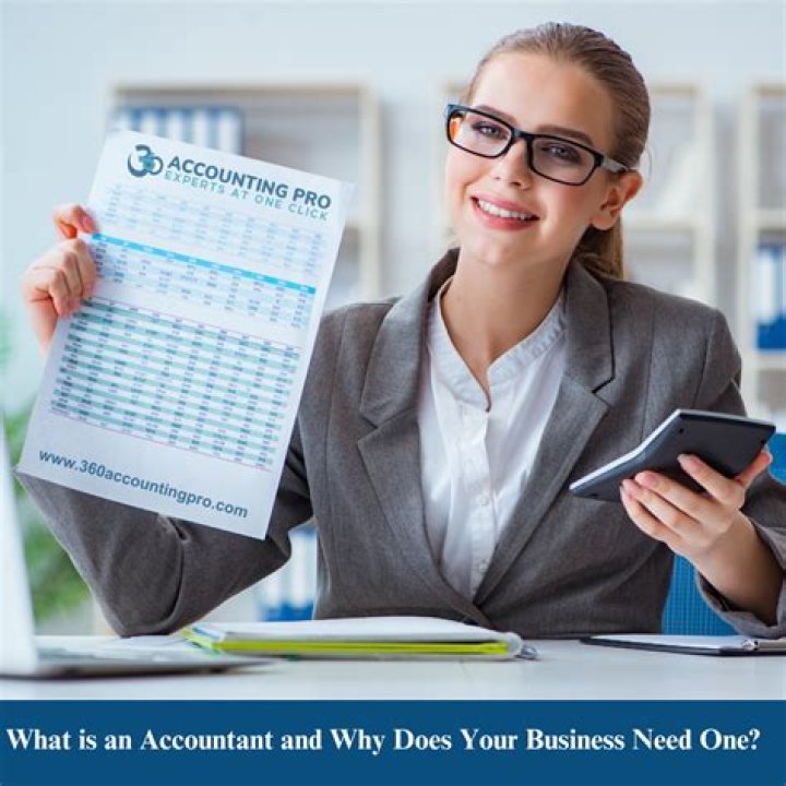 What do accountants assess?