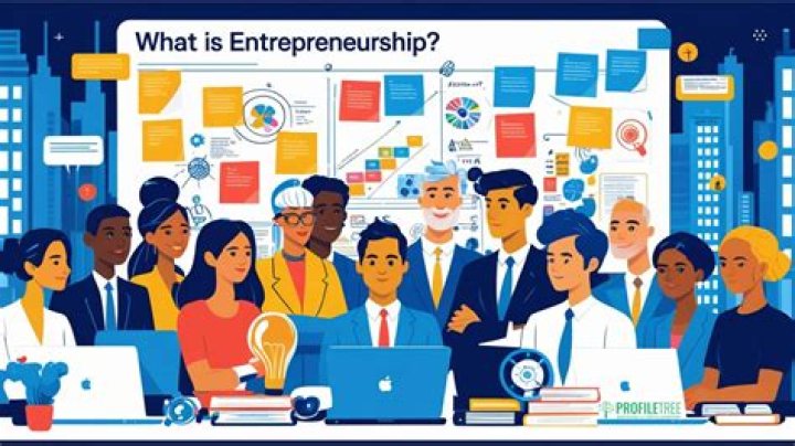 What do entrepreneurs actually do?