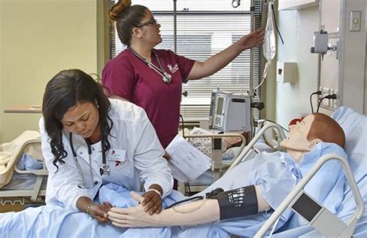 What do nurses major in college?