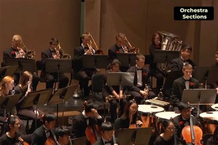 What do you call the members of the orchestra?