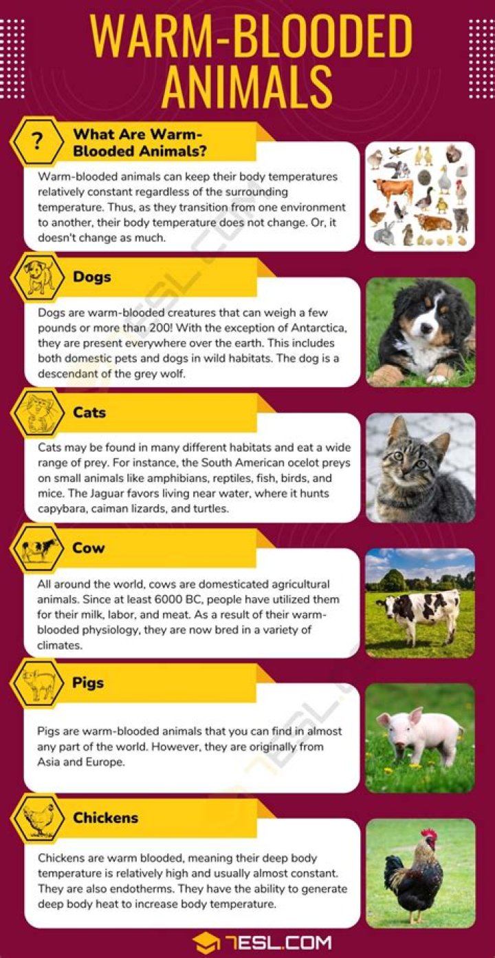 What do you mean by Grant in Aid?