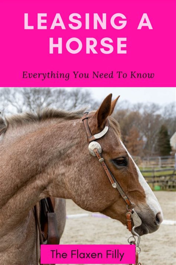 What do you pay for when you lease a horse?