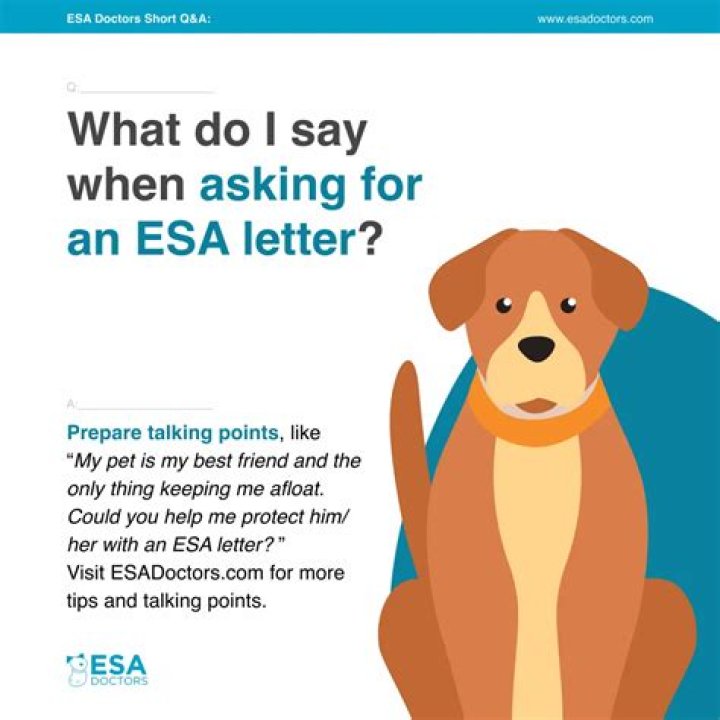 What do you say in an ESA assessment?