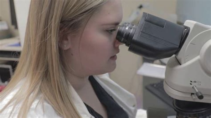 What does a medical scientist do?