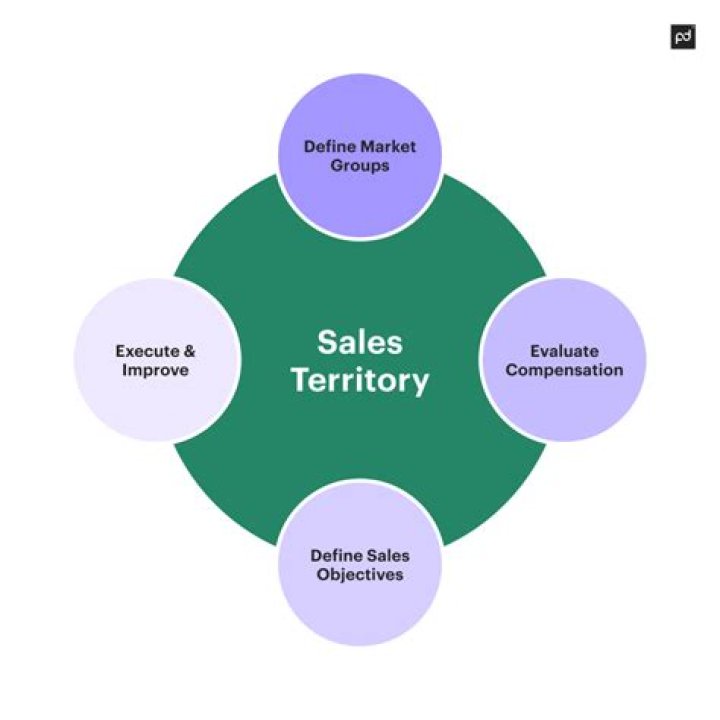 What does a territory sales executive do?