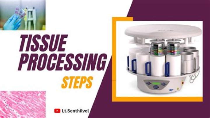 What does a tissue processing tech do?