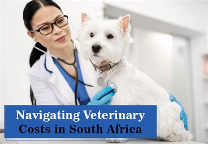 What does a vet get paid in South Africa?