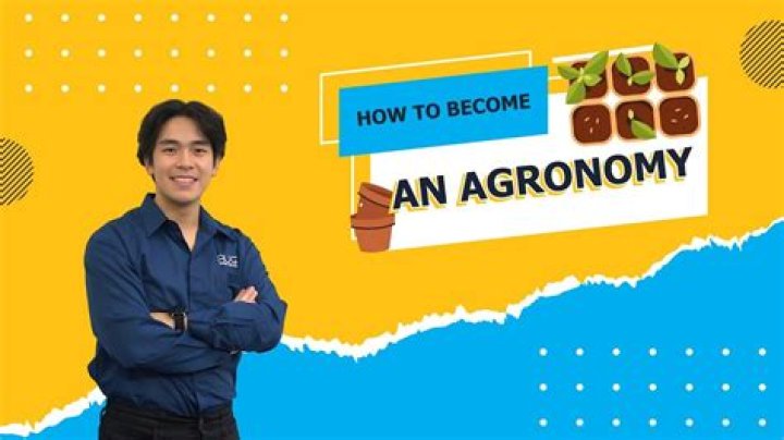 What does an agronomist do daily?