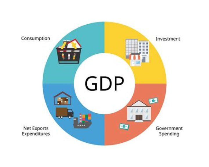 What does an economist count in the GDP?