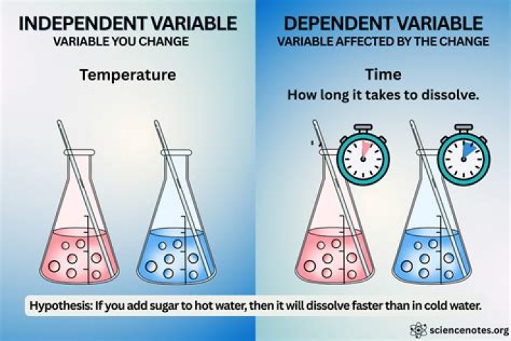 What does independent mean in college?