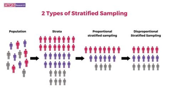 What does sampling mean in business?