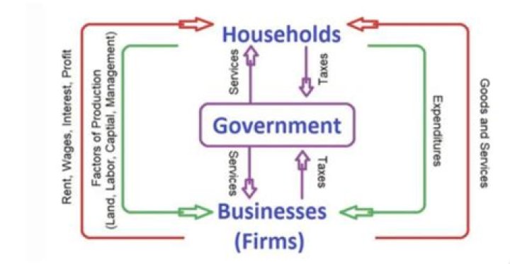 What does the government provide to households?
