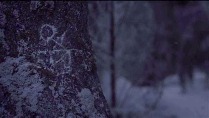 What does the symbol look up on the NASDAQ mean?