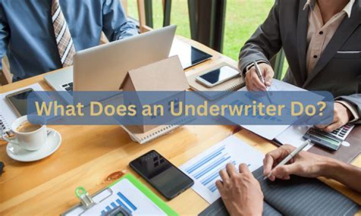 What does the underwriter do in a new stock offering?