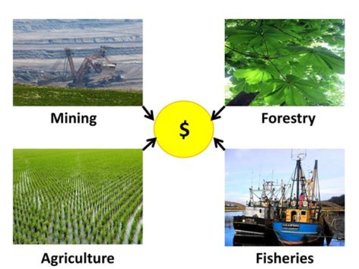 What happened to the farming industry?