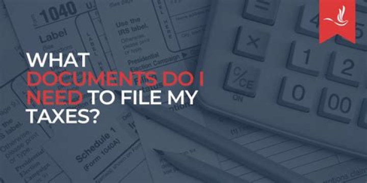What happens if I accidentally file my taxes twice?
