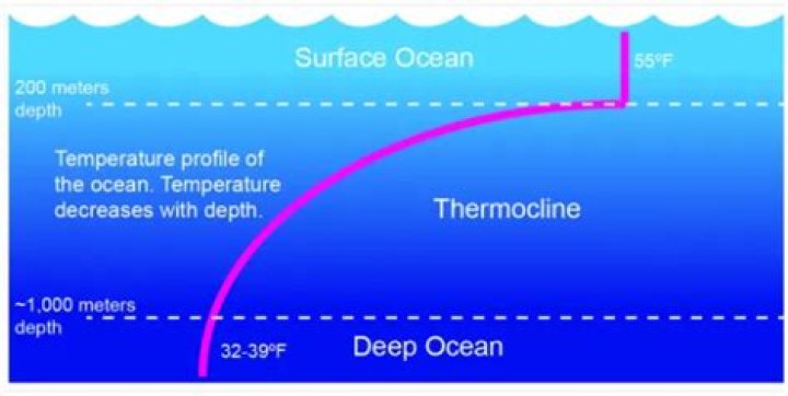 What happens to salinity when depth increases?