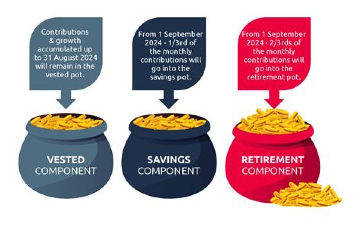 What happens to vested options when you quit?