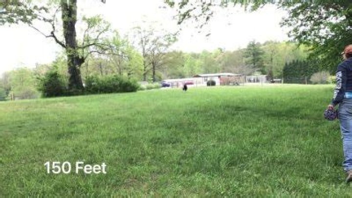 What is 150 ft in linear feet?