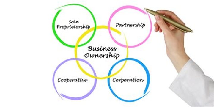 What is a business ownership?