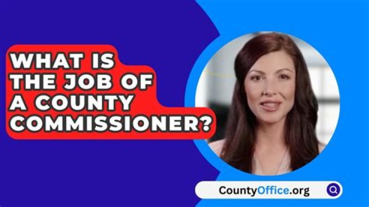 What is a commissioner of higher education?