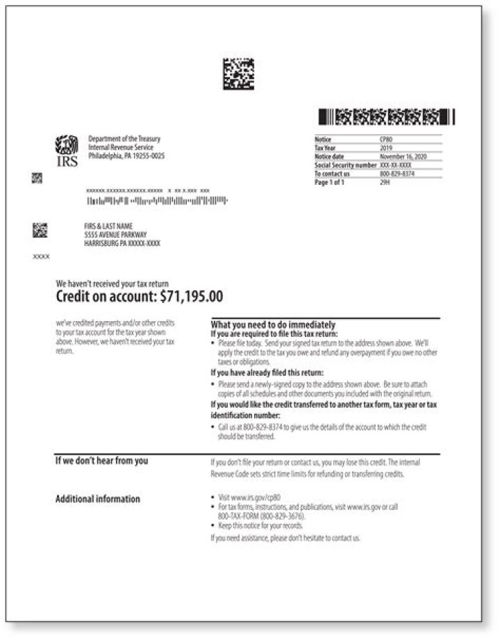 What is a CP80 IRS Notice?