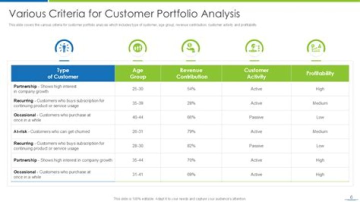 What is a customer portfolio analysis?