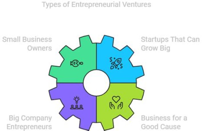 What is a entrepreneurial venture?