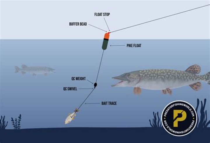 What is a free float used for?