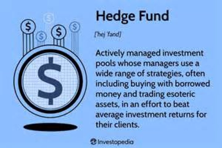 What is a hedge fund in simple terms?